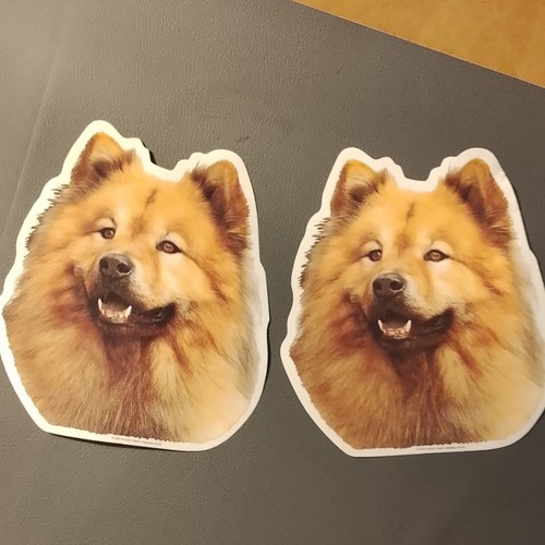 2er set eurasier - 2er,